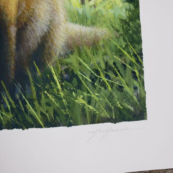 Pat McManus Red Fox Art Print First Spring Numbered Signed Limited Edition - Picture 3 of 6
